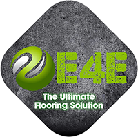 e4e logo